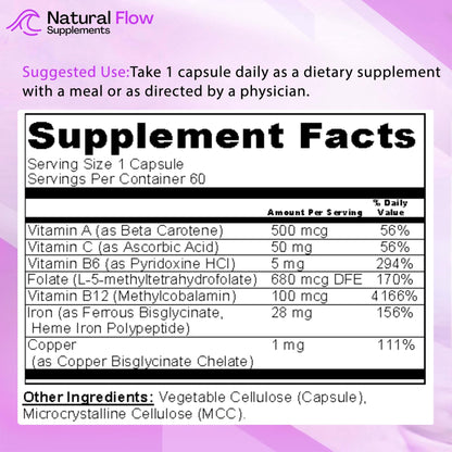 2X Iron Complex - Heme and Non-Heme Iron - 60 Capsules